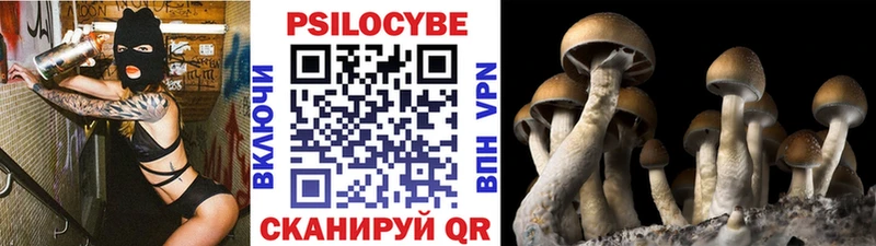 Галлюциногенные грибы MAGIC MUSHROOMS  Усмань 